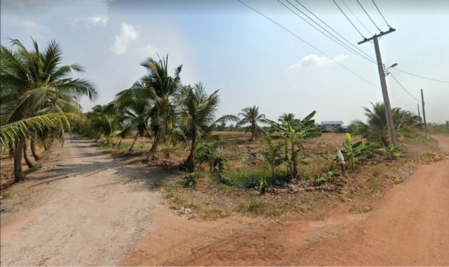 ขาย ที่ดิน หนองจอก ถนนขุมทอง – ลำต้อยติ่ง ถนนร่วมพัฒนา ซอยวิบูลย์สาธุกิจ ขนาด 19 – 0 – 84 ไร่ ขาย 48,000,000 บาท