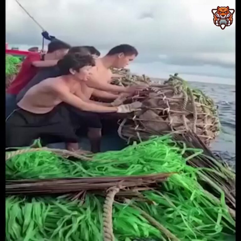 Just catch fish in the sea. #FinancialFreedom #Innovation
Just catch fish in the…