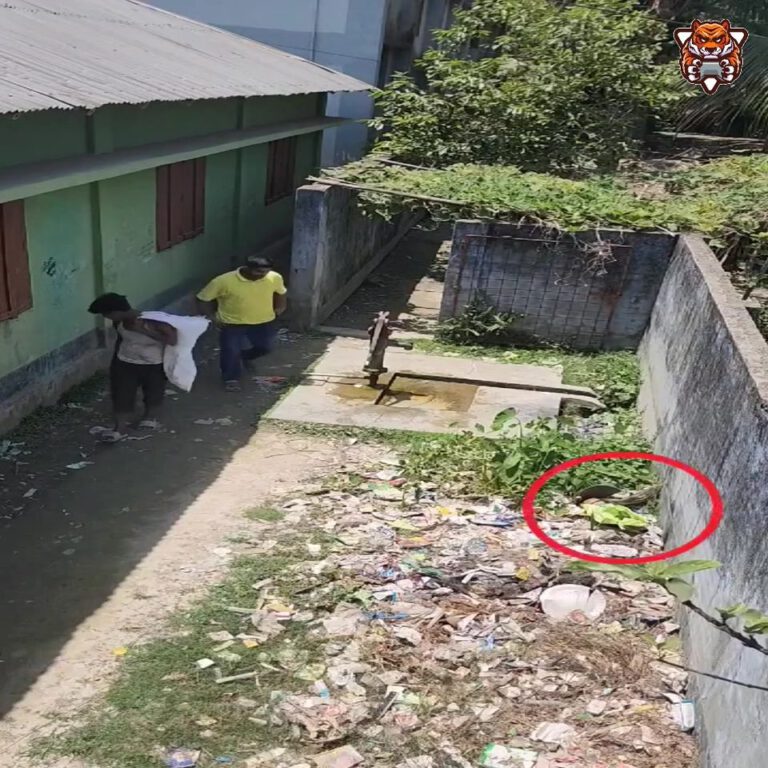 What was in the girl’s bag can determine someone’s fate.
What was in the girl’s …