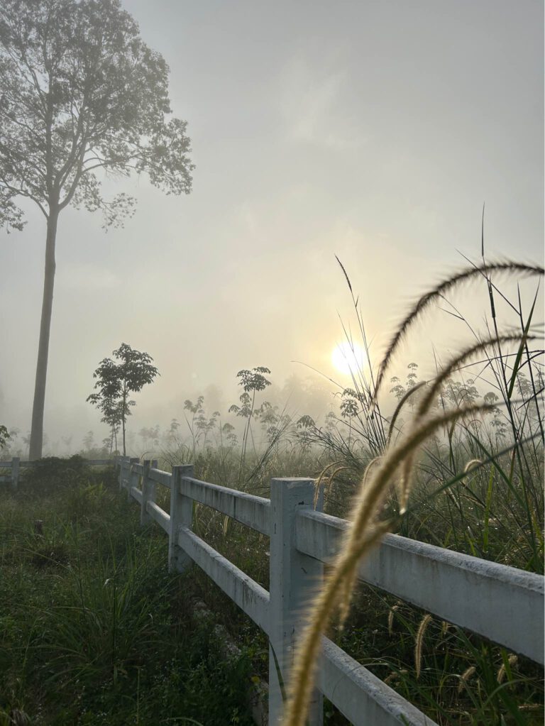 ที่ดินใกล้เนินเขา ราคาหลักแสน แต่ได้วิวหลักล้าน บรรยากาศสวยงาม อากาศบริสุทธิ์ ชม…