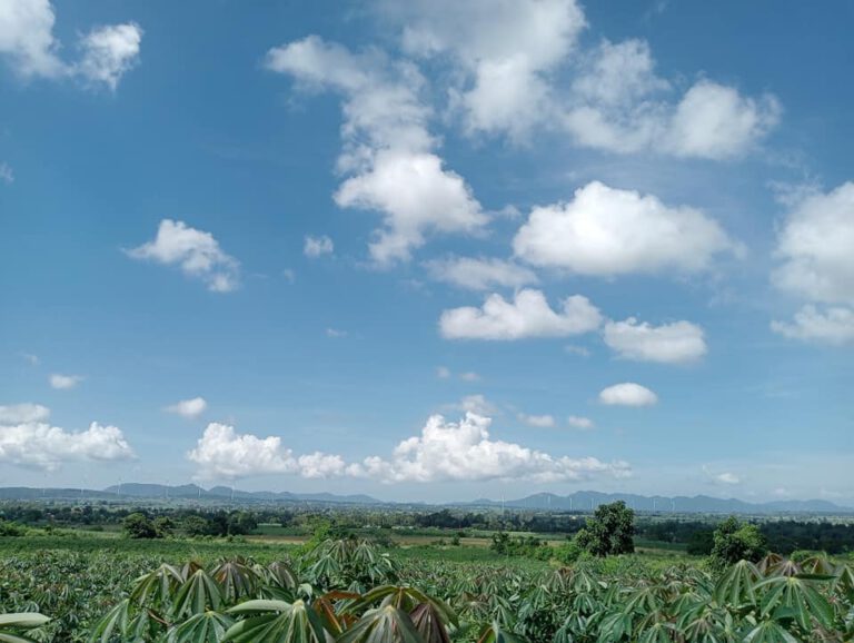 วิวหลักล้านของแทร่  เหลือ 1 ไร่ สุดท้าย
 ที่สูง มองเห็น หนองน้ำใสทั้งตำบล ..มอง…