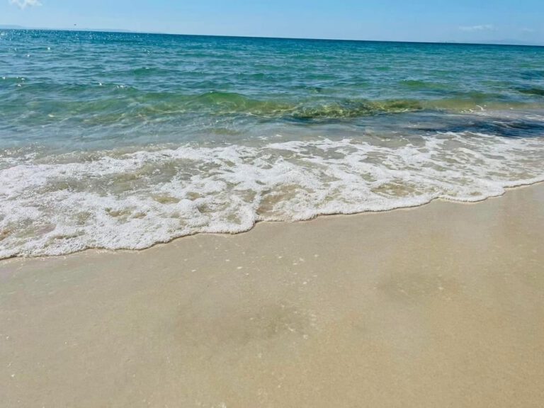 ที่ดิน​ Sea View เดินลงชายหาดเพียง​ 100 ม.

     หาดบานชื่น ต.ไม้รูด​ อ.คลองใหญ…