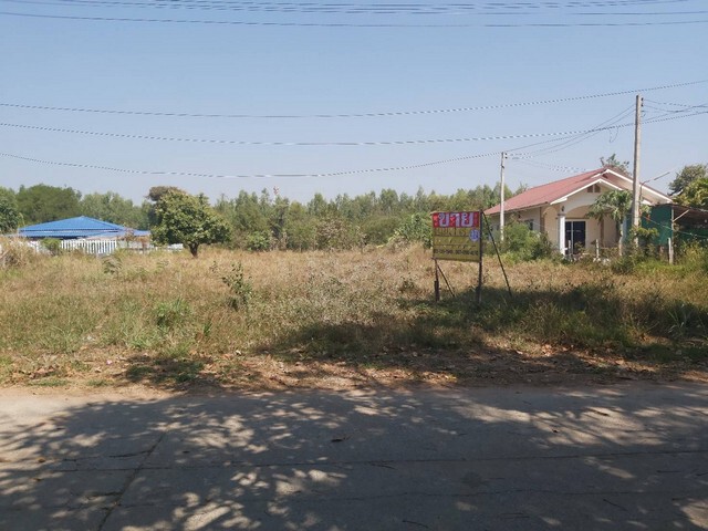 453822pic1 453822pic1