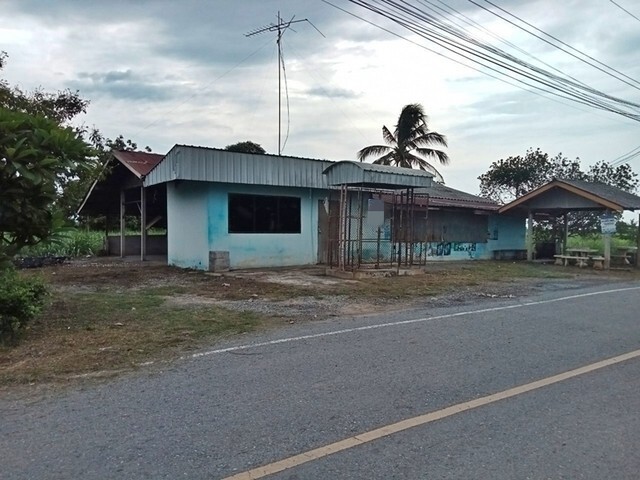 ขายบ้านเดี่ยว บางระจัน สิงห์บุรี (PAP-6-0464 )