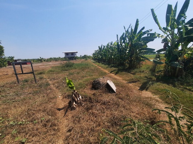 คลอง 9 บ้านพร้อมที่ดิน 5 ไร่ ถมแล้วบรรยากาศธรรมชาติมีสวนและบ่อเลี้ยงปลาเงียบสงบธรรมชาติดี