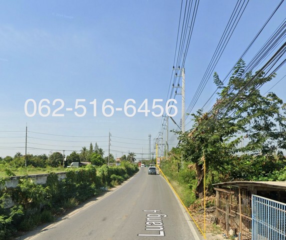 265586pic1