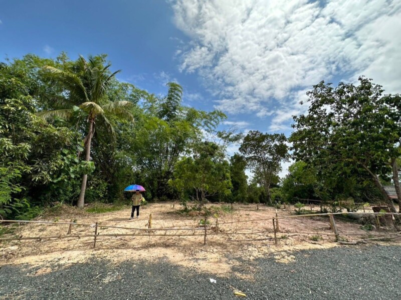 266862pic1 266862pic1
