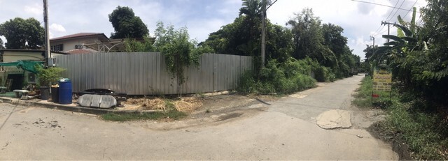 275753pic1 275753pic1