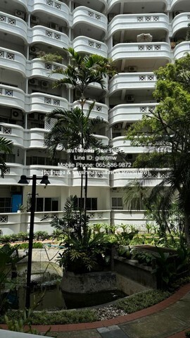 21304pic1