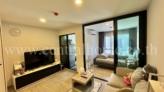 184560pic1