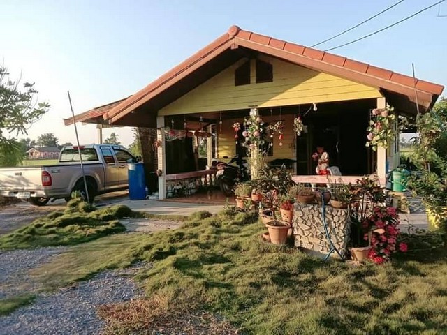203086pic1