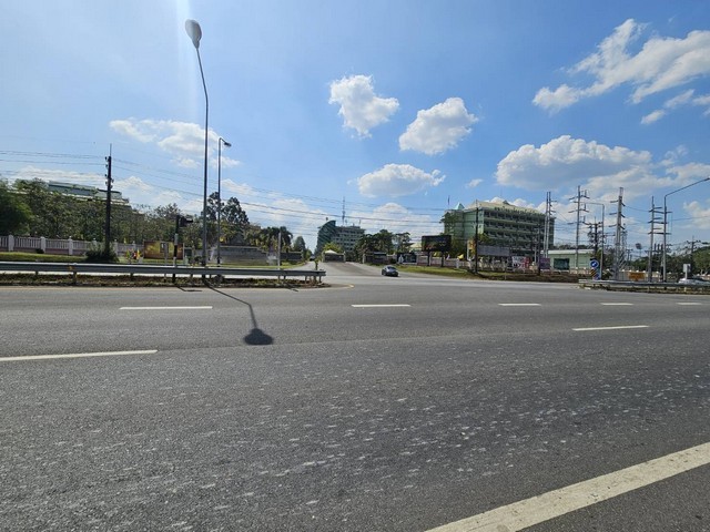 291613pic1
