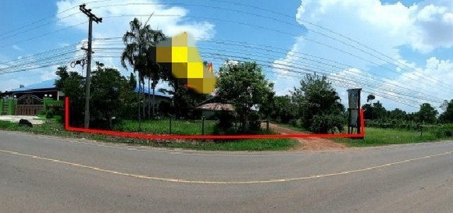 202253pic1