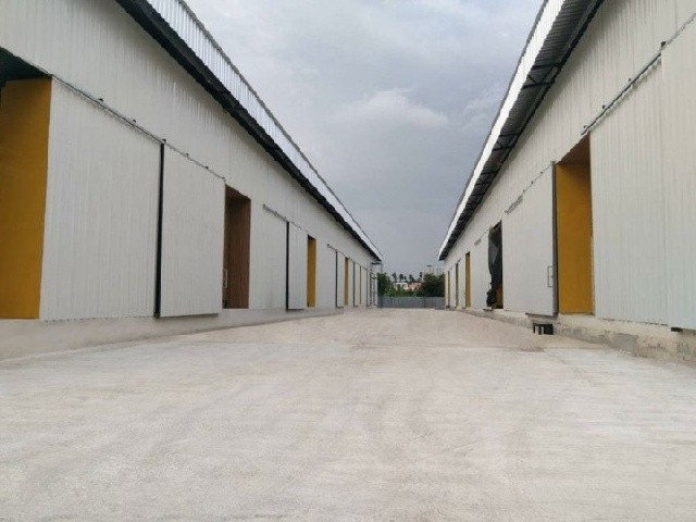 203730pic1 203730pic1