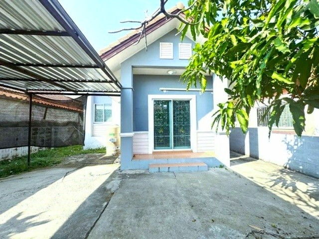 203745pic1 203745pic1