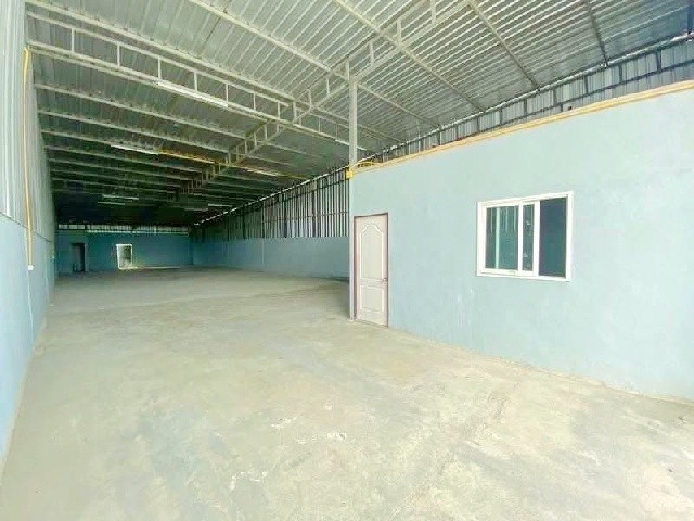 203978pic1
