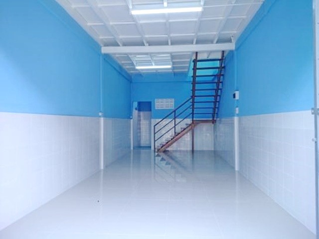 204870pic1 204870pic1