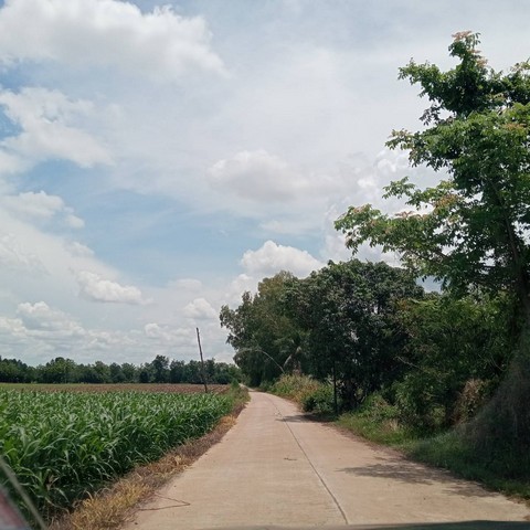 204903pic1