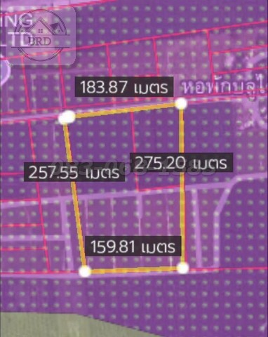 205258pic1 205258pic1
