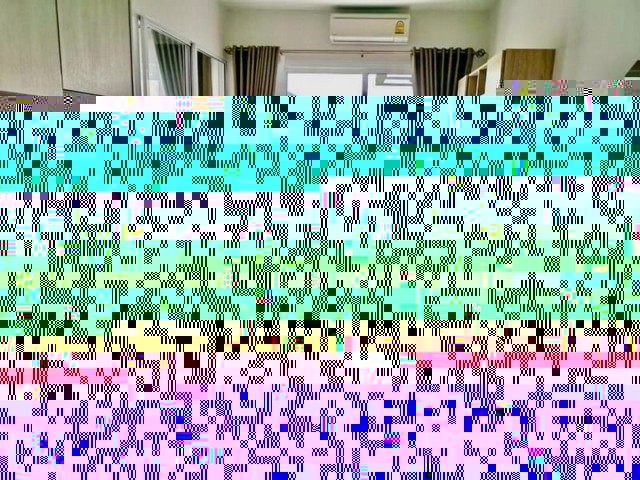 23936pic1