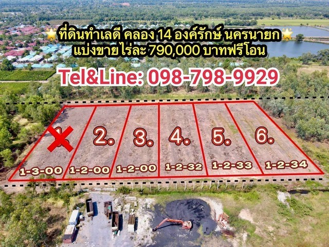 288004pic1 288004pic1