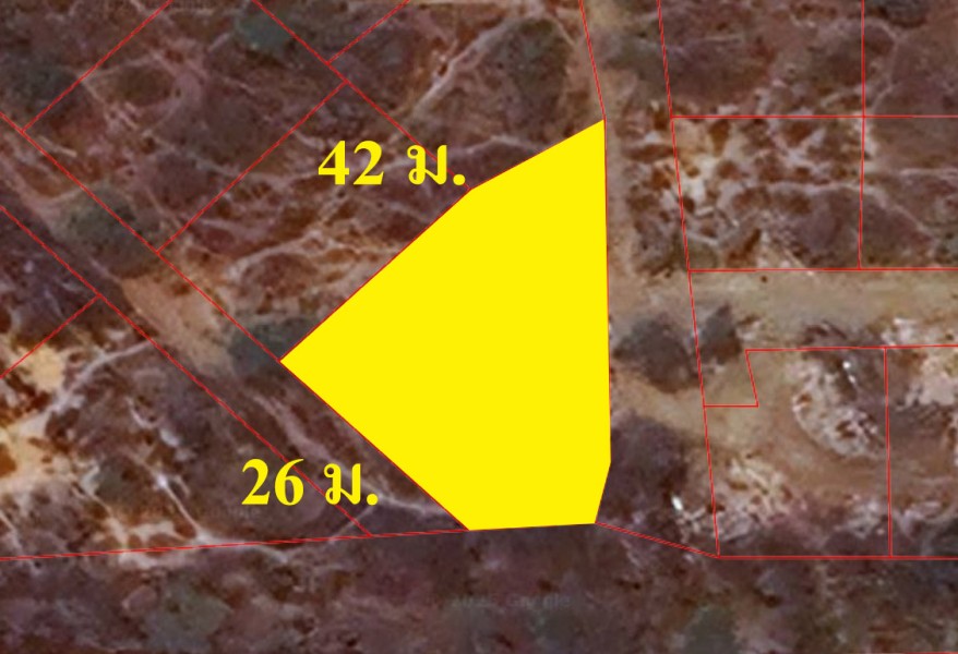 288528pic1 288528pic1