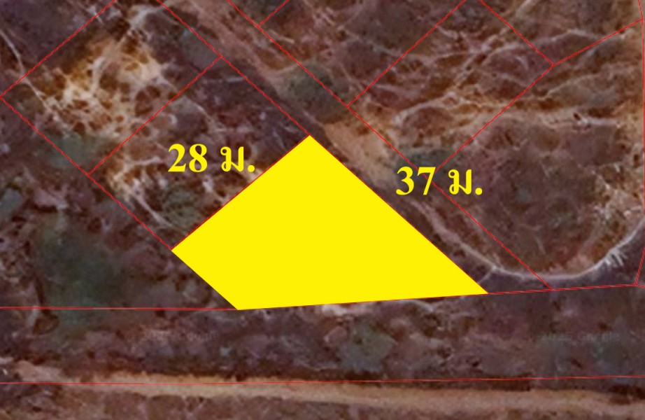 288529pic1 288529pic1