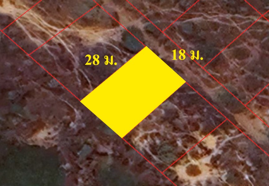 288530pic1