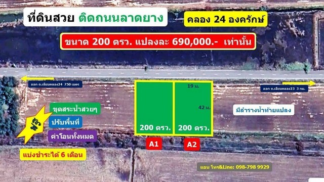 288646pic1