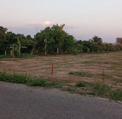 288705pic1 288705pic1