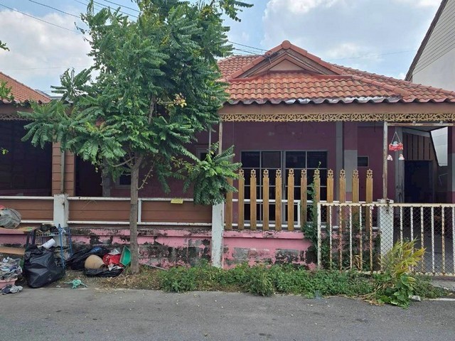 290692pic1 290692pic1