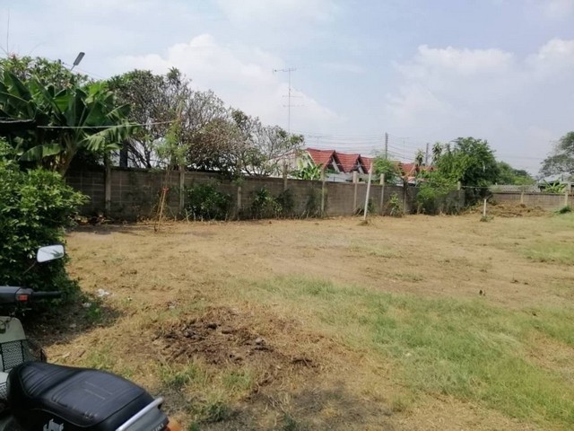 291879pic1