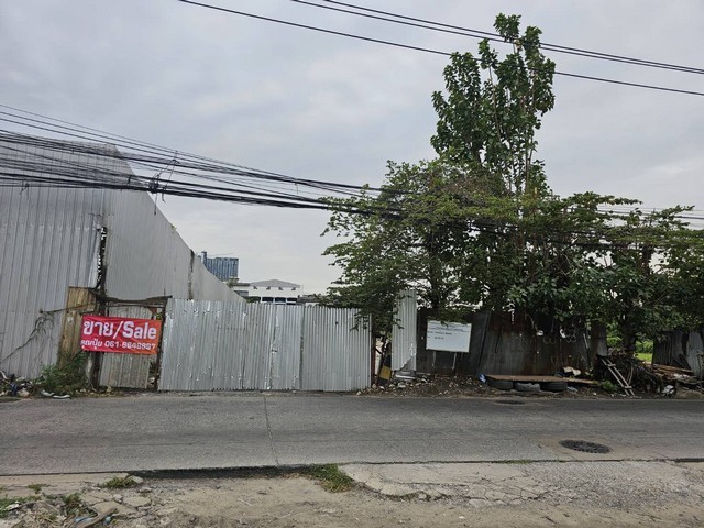 291908pic1