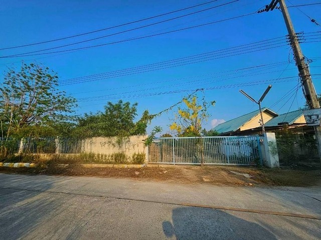292105pic1 292105pic1