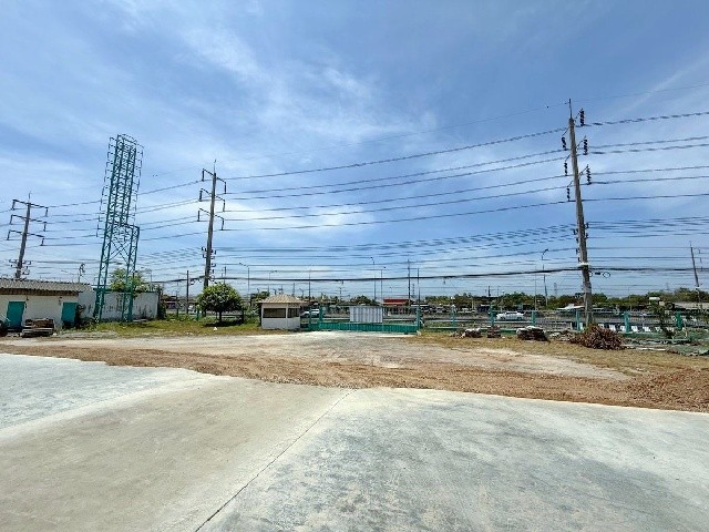 292128pic1