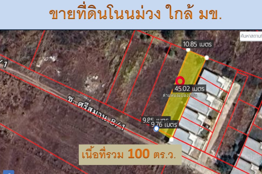 292170pic1 292170pic1