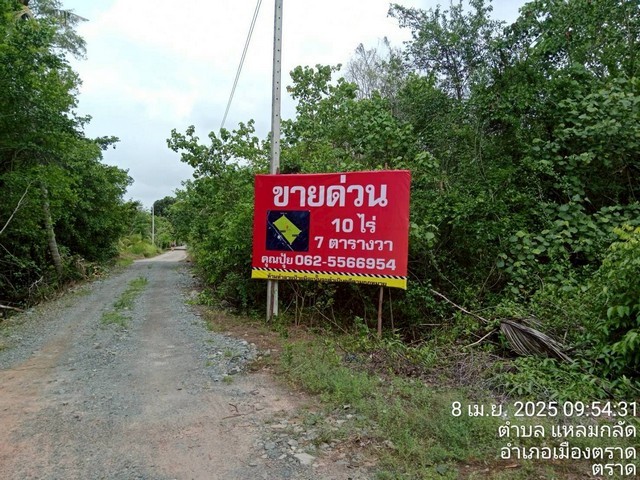 292267pic1 292267pic1
