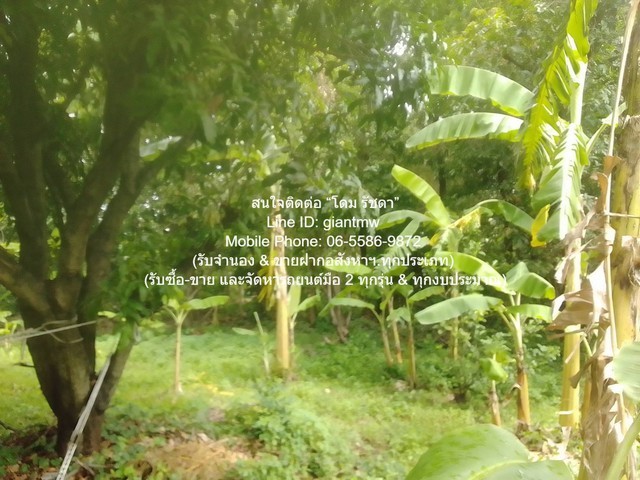 292380pic1