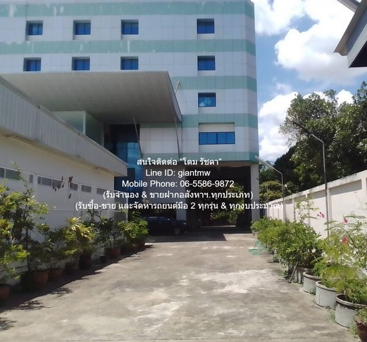 292390pic1