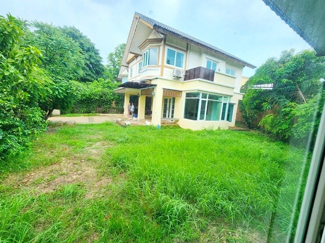 292543pic1