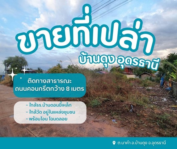 292549pic1 292549pic1