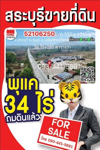 293065pic1 293065pic1
