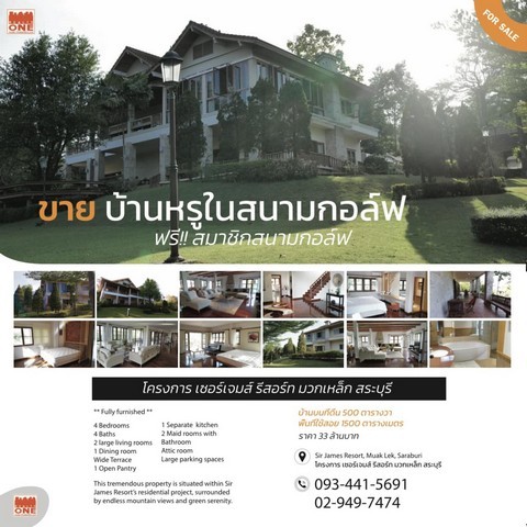 293154pic1