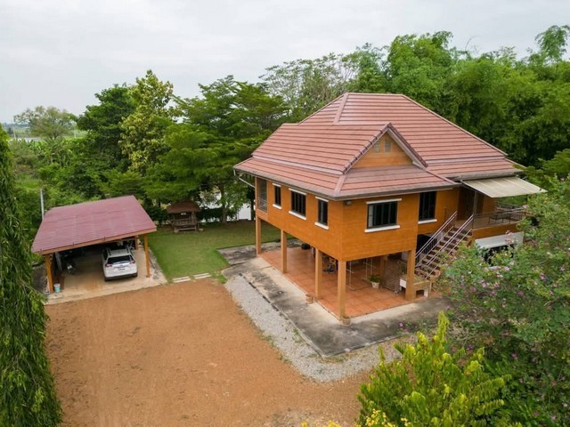 293472pic1