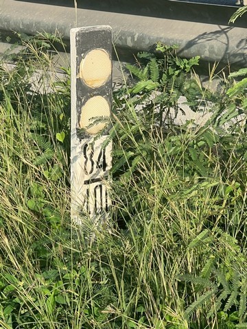 293622pic1
