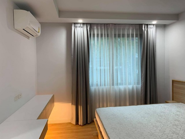 293862pic1