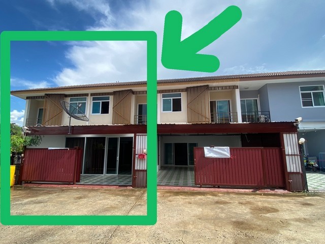 294166pic1