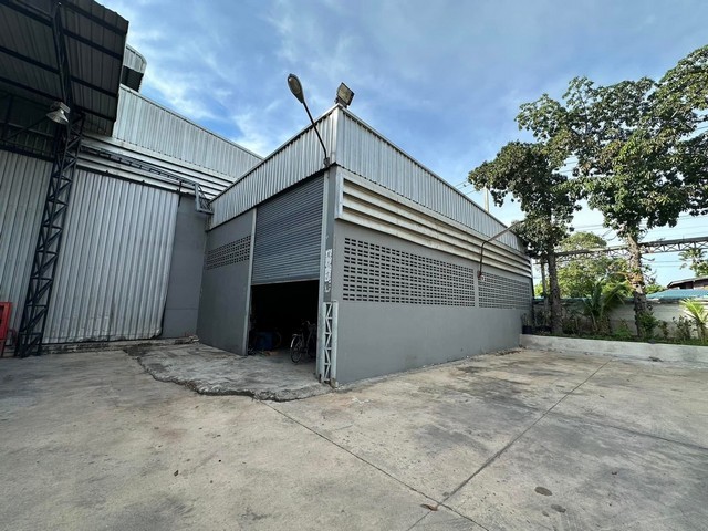 492594pic1