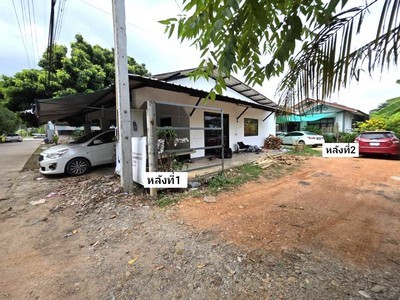 492632pic1