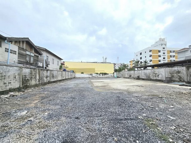 493392pic1